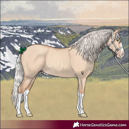 Horse Color:Silver Classic Champagne Dun Splash Frame 
