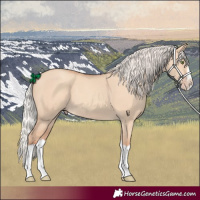 Horse Color:Silver Classic Champagne Dun Splash Frame 