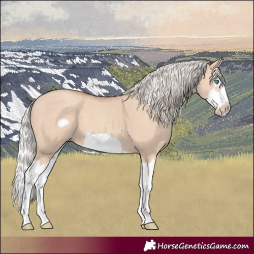 Horse Color:Silver Classic Champagne Dun Splash Frame 