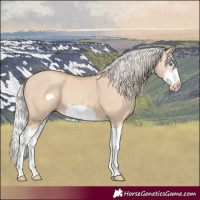 Horse Color:Silver Classic Champagne Dun Splash Frame 
