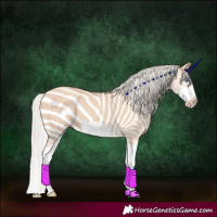 Horse Color:Silver Classic Champagne Dun Splash Frame