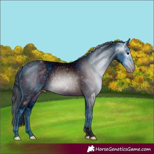 Horse Color:ERROR: UNKNOWN ANOMALY