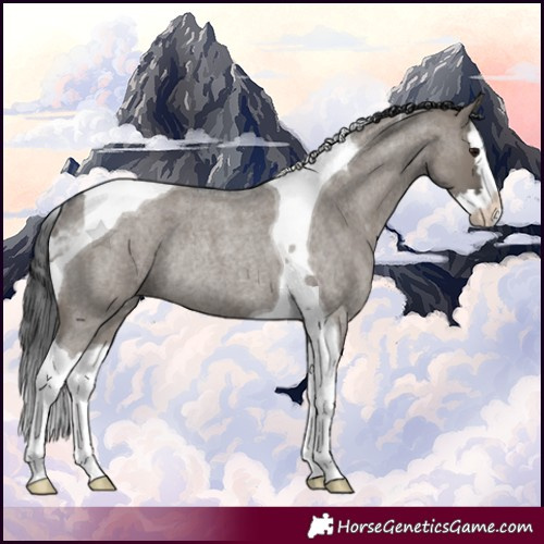 Horse Color:Grullo Roan Splash Tobiano Rabicano