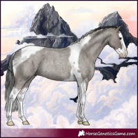 Horse Color:Grullo Roan Splash Tobiano Rabicano