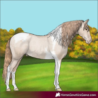 Horse Color:Grullo Pearl Tobiano Appaloosa