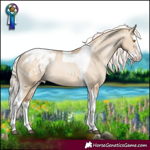 Horse Color:Silver Grullo Pearl Splash Tobiano Blanket Rabicano 