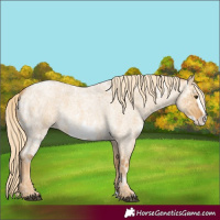 Horse Color:Palomino Ice Roan Dun Frame 
