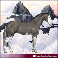 Horse Color:Grullo Splash 
