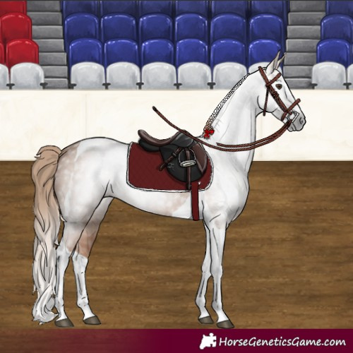 Horse Color:Gray Chestnut Splash Tobiano 