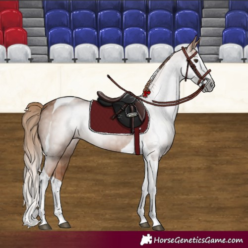 Horse Color:Gray Chestnut Splash Tobiano 