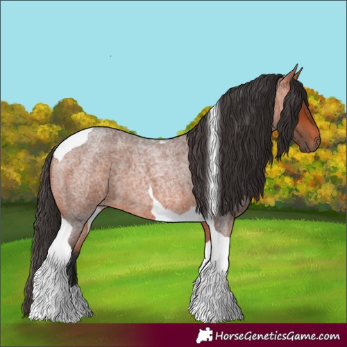 Horse Color:Bay Roan Tobiano