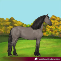 Horse Color:Smoky Grullo