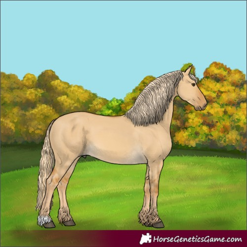 Horse Color:Palomino Dun