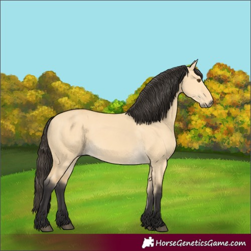 Horse Color:Buckskin Dun