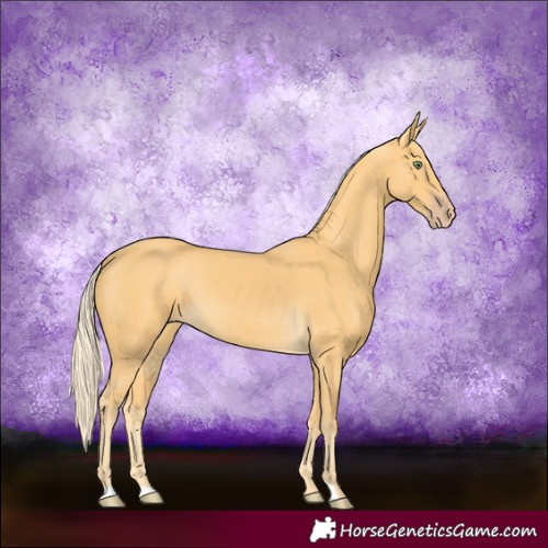 Horse Color:Gold Cream Champagne 