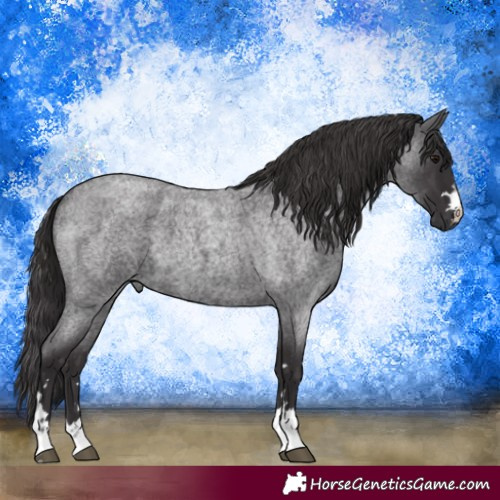Horse Color:Smoky Blue Roan