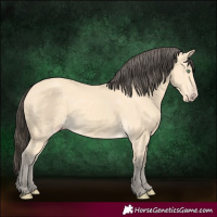 Horse Color:Amber Cream Champagne 