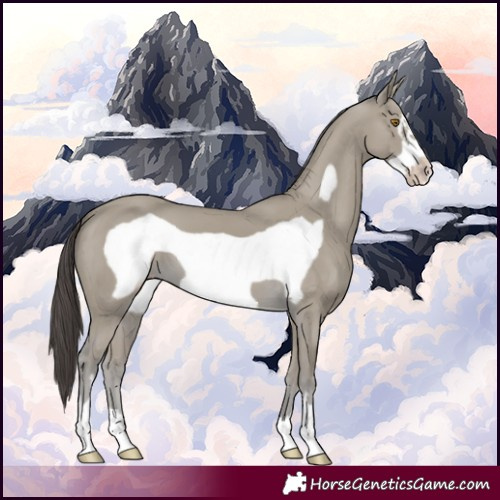 Horse Color:Classic Cream Champagne Frame 