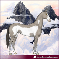 Horse Color:Classic Cream Champagne Frame