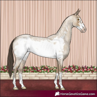 Horse Color:Classic Cream Champagne Roan Frame