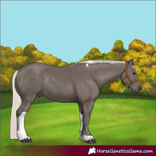 Horse Color:Silver Smoky Black Tobiano Rabicano