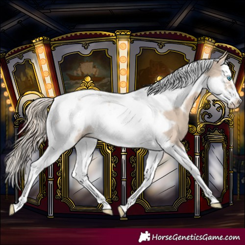 Horse Color:Smoky Creme Splash Tobiano Frame