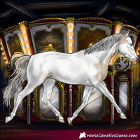 Horse Color:Smoky Creme Splash Tobiano Frame 