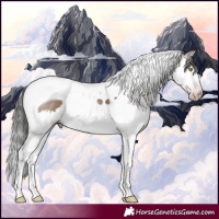 Horse Color:Gray Amber Champagne Splash Tobiano
