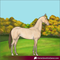 Horse Color:Amber Cream Champagne Roan