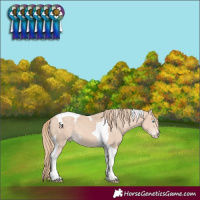 Horse Color:Perlino Tobiano 
