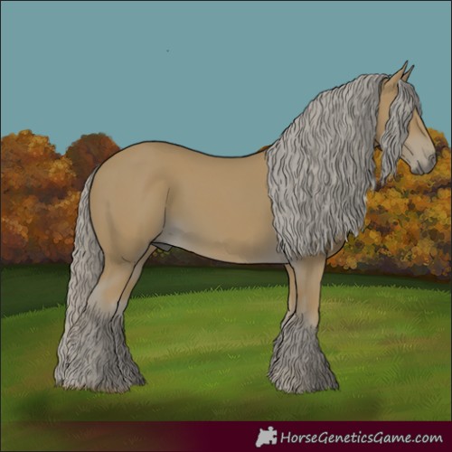 Horse Color:Palomino 