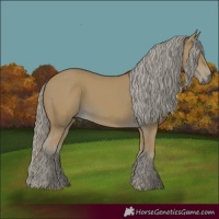 Horse Color:Palomino