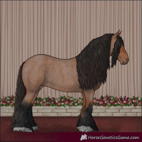 Horse Color:Bay Roan 