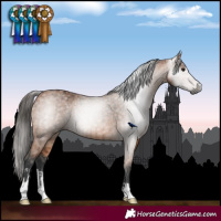Horse Color:Gray Bay  and Bay 