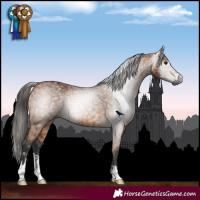 Horse Color:Gray Bay  and Bay 