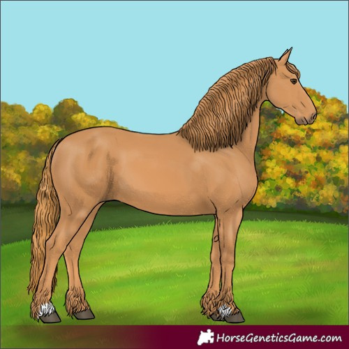 Horse Color:Unknown 