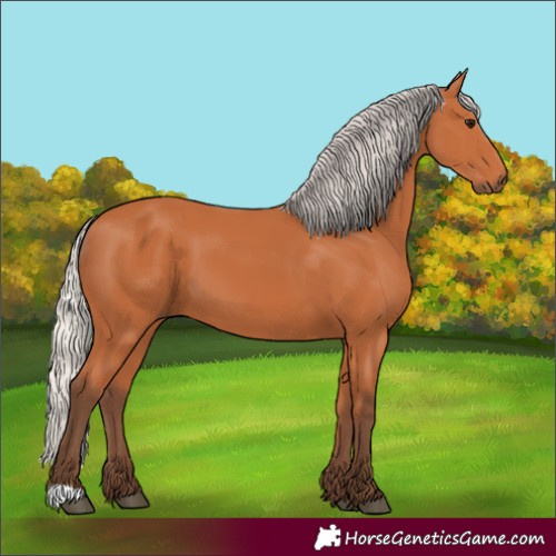 Horse Color:Unknown 