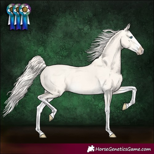 Horse Color:Cremello Dun Splash 