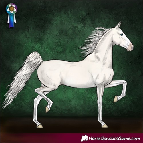 Horse Color:Cremello Dun Splash 