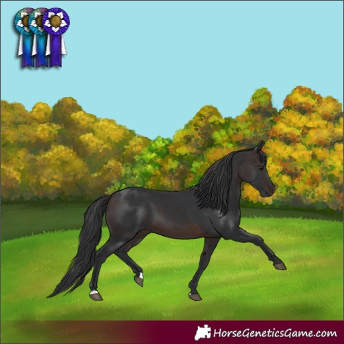 Horse Color:Brown 