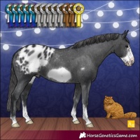 Horse Color:Black Sabino Frame Appaloosa