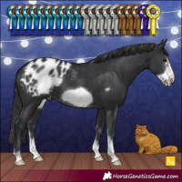 Horse Color:Black Sabino Frame Blanket 