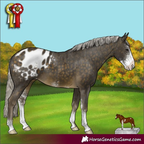 Horse Color:Silver Buckskin Sabino Blanket