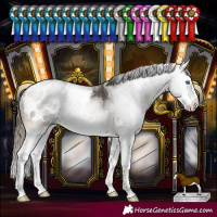 Horse Color:Buckskin Sabino Splash Blanket