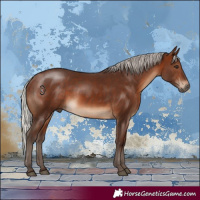Horse Color:Silver Brown Rabicano 