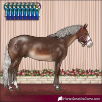 Horse Color:Silver Brown Sabino Rabicano