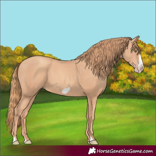 Horse Color:Gold Champagne Frame 