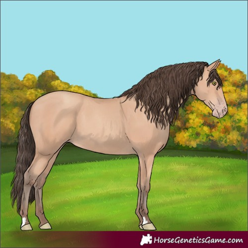 Horse Color:Amber Champagne 