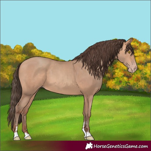Horse Color:Amber Champagne 