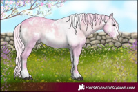 Horse Color:Watercolor White Spotted Silver Blue Onyx Chinchilla Ice Sabino